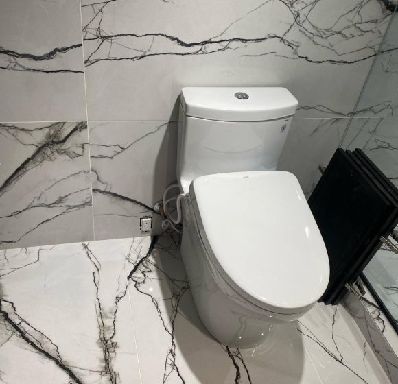 Toilet installation and repair East Gwillimbury